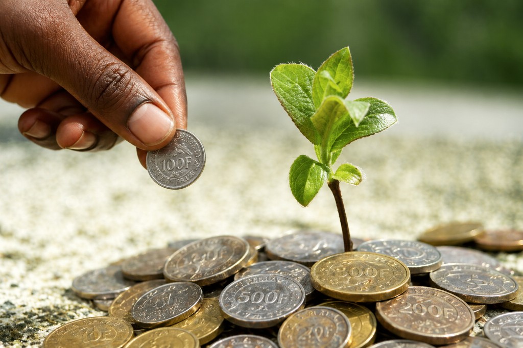 Patrimoine en croissance — francs CFA et investissement conforme au waqf